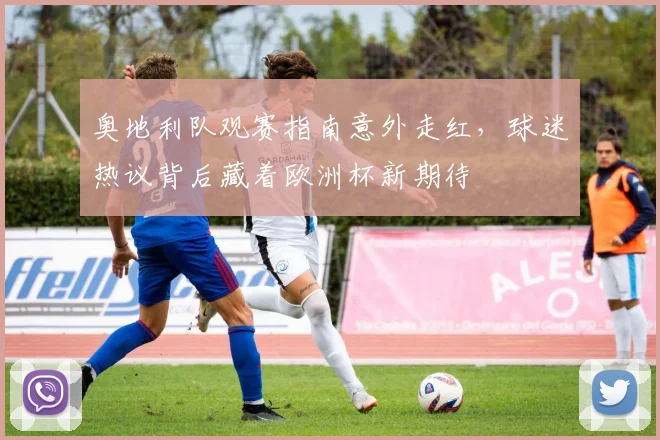 奥地利队观赛指南意外走红,球迷热议背后藏着欧洲杯新期待