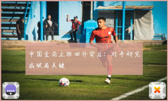 中国金花止跌回升背后：对手研究成破局关键 - 2026世界杯