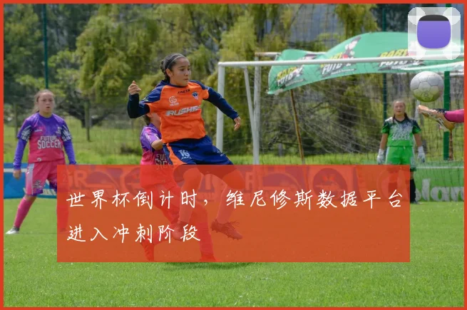 世界杯倒计时，维尼修斯数据平台进入冲刺阶段 - 2026世界杯